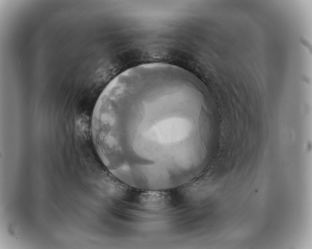 X0000091540672200708171245