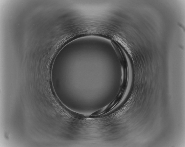 X0000091540673200708171245