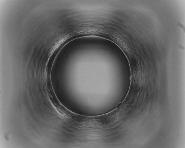 X0000091540674200708171245