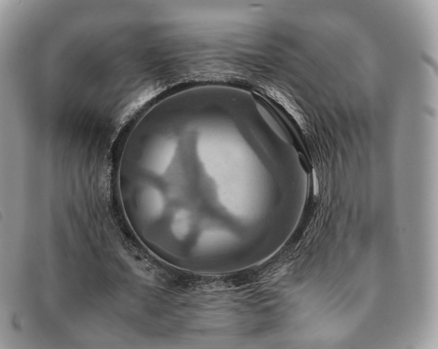 X0000091540675200708171245