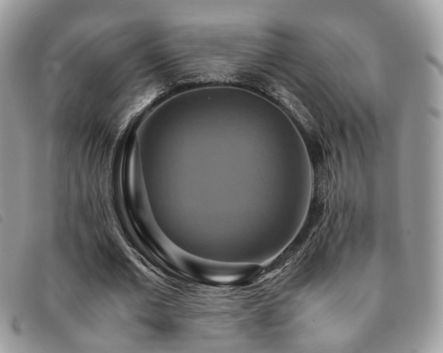 X0000091540677200708171245