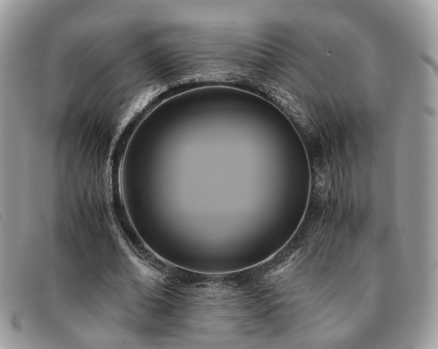 X0000091540678200708171245