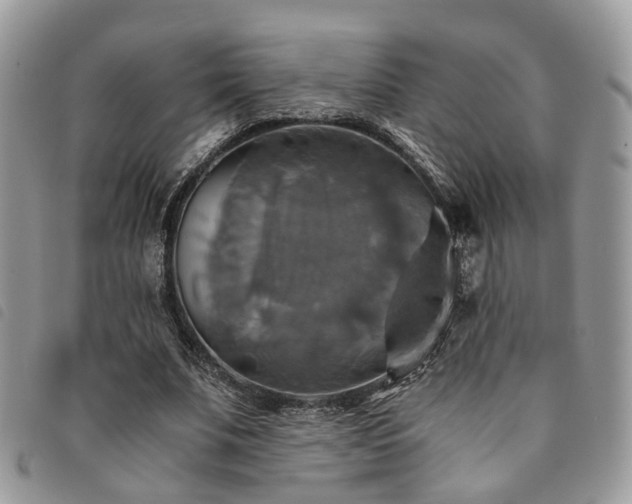 X0000091540679200708171245