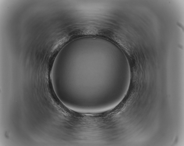 X0000091540681200708171244