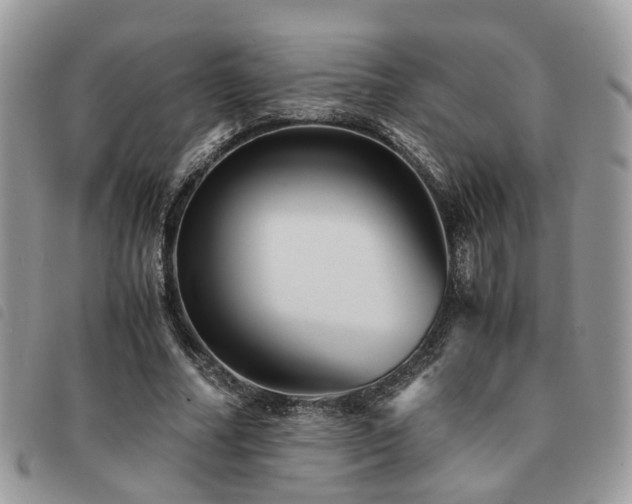 X0000091540682200708171244