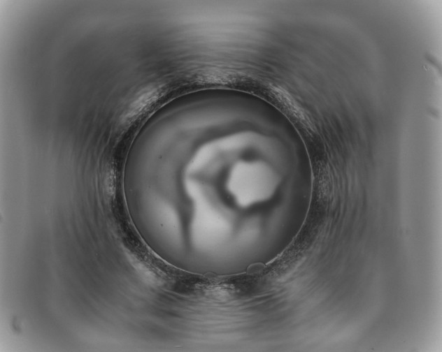 X0000091540683200708171244
