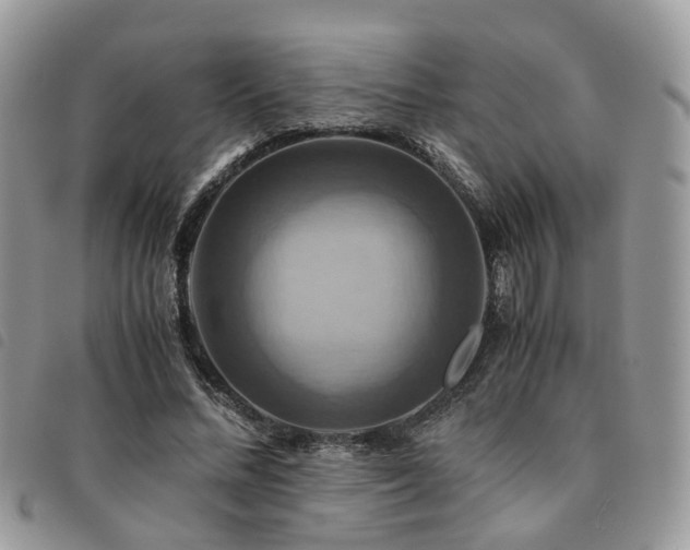 X0000091540684200708171244