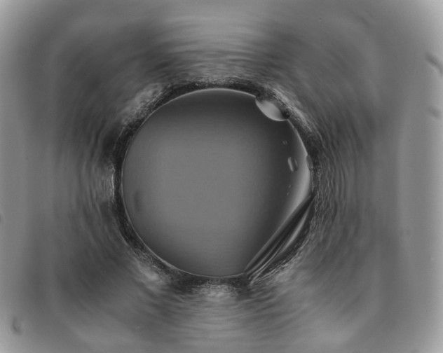 X0000091540685200708171244