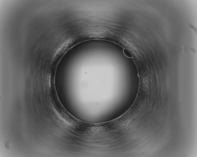 X0000091540686200708171244