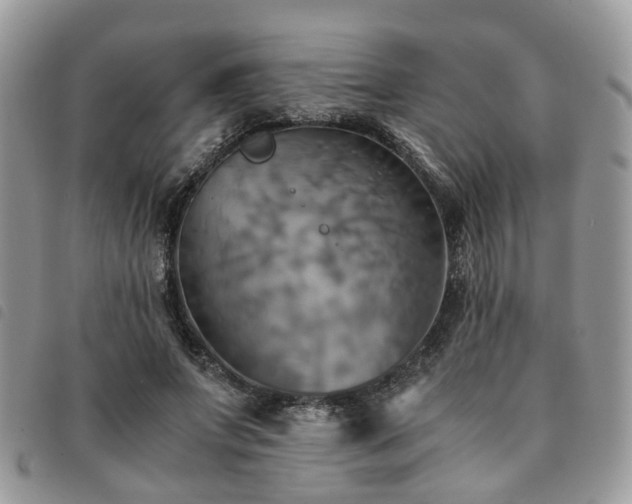 X0000091540687200708171244