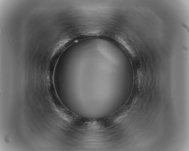 X0000091540688200708171244