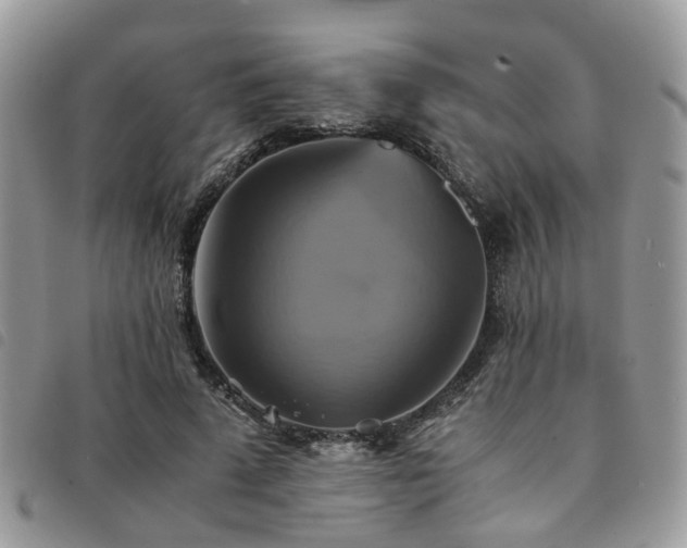 X0000091540689200708171244
