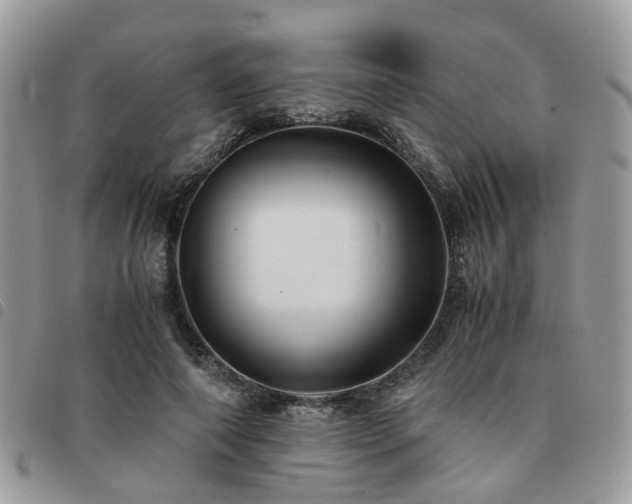 X0000091540690200708171244