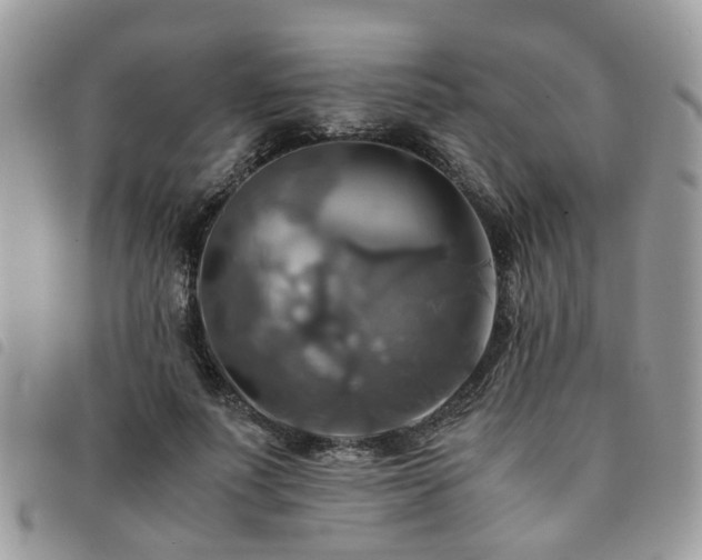 X0000091540691200708171244