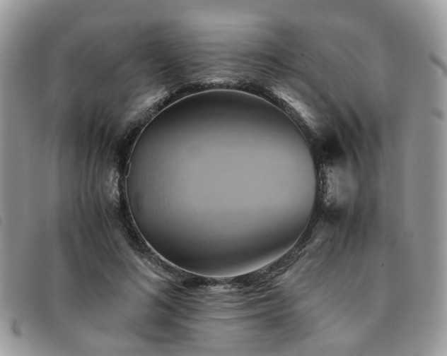 X0000091540692200708171244