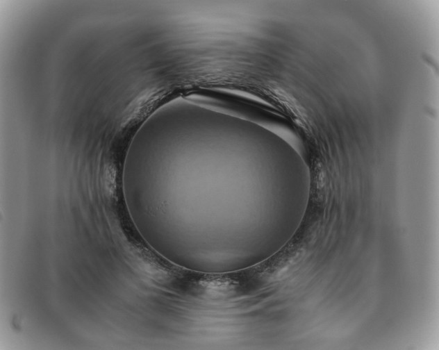X0000091540693200708171244