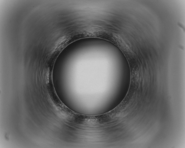 X0000091540694200708171244
