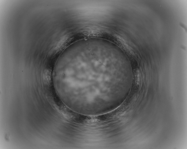 X0000091540695200708171244