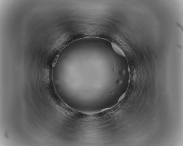 X0000091540696200708171244