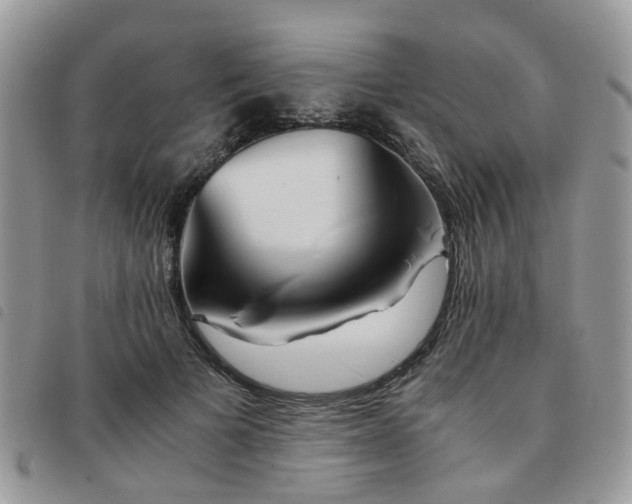 X0000091540697200708171244