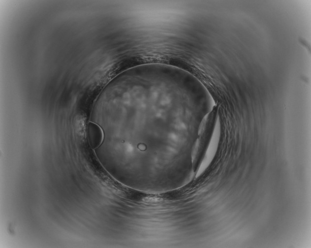 X0000091540699200708171244