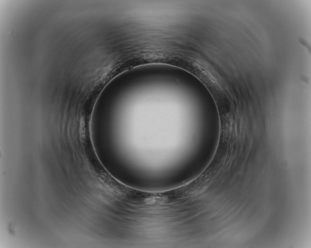 X0000091540700200708171244