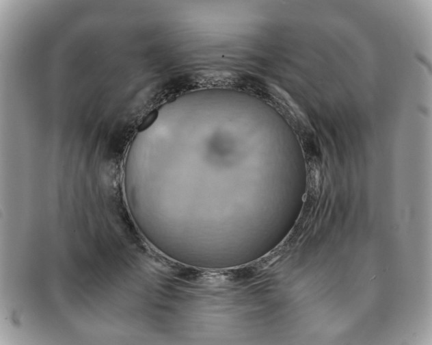 X0000091540701200708171244