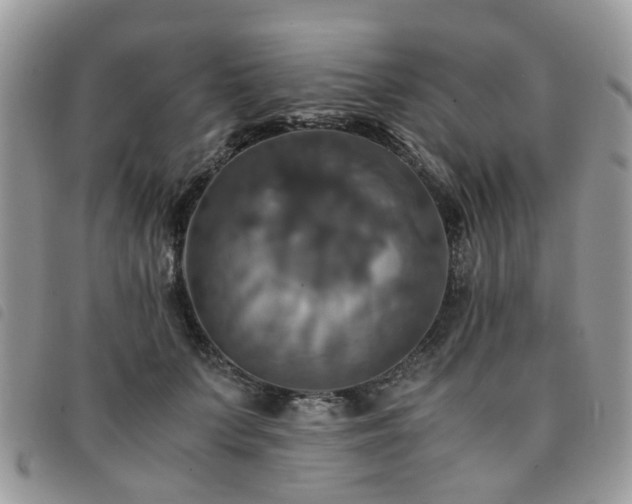 X0000091540703200708171244