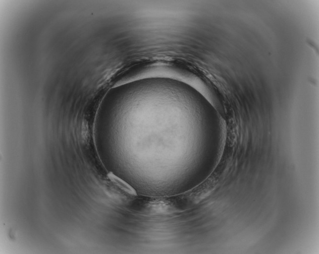X0000091540704200708171244