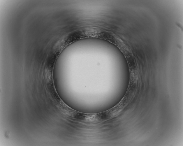 X0000091540705200708171244