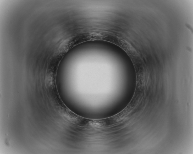 X0000091540706200708171244