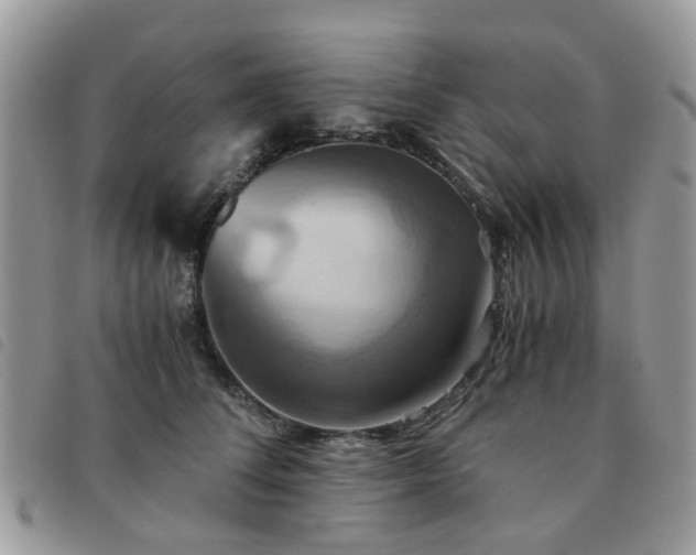 X0000091540708200708171244