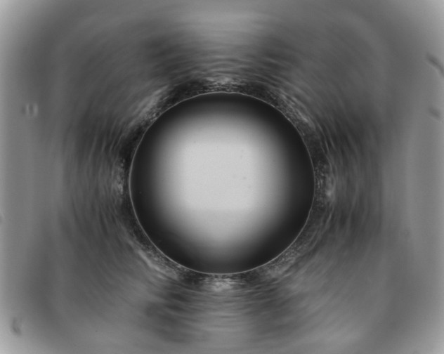 X0000091540710200708171244