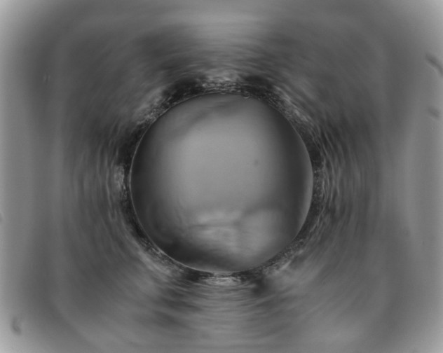 X0000091540711200708171244