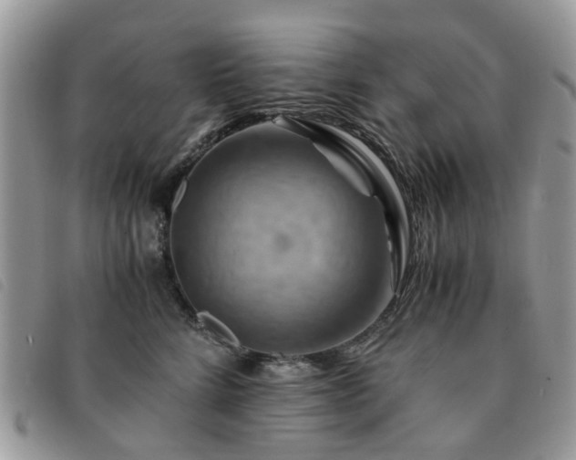 X0000091540712200708171244