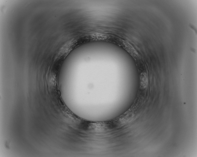 X0000091540713200708171244
