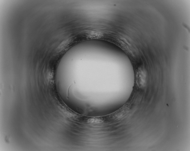 X0000091540714200708171244