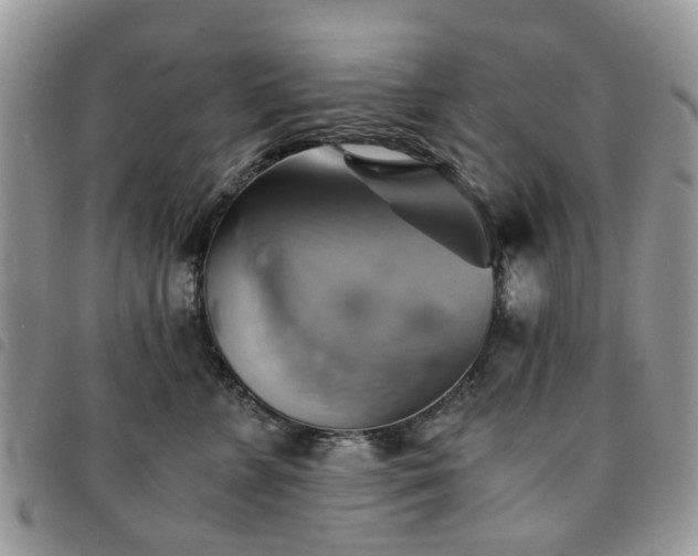 X0000091540715200708171244