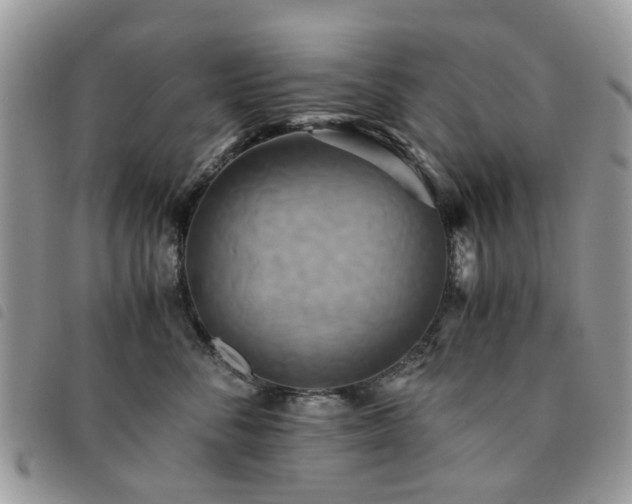 X0000091540716200708171244