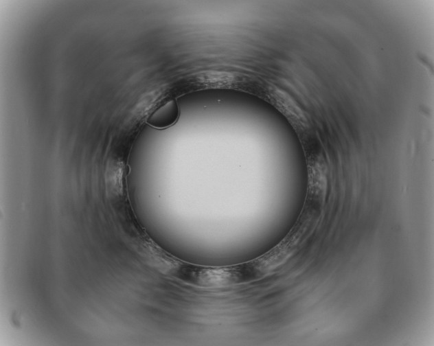 X0000091540717200708171244