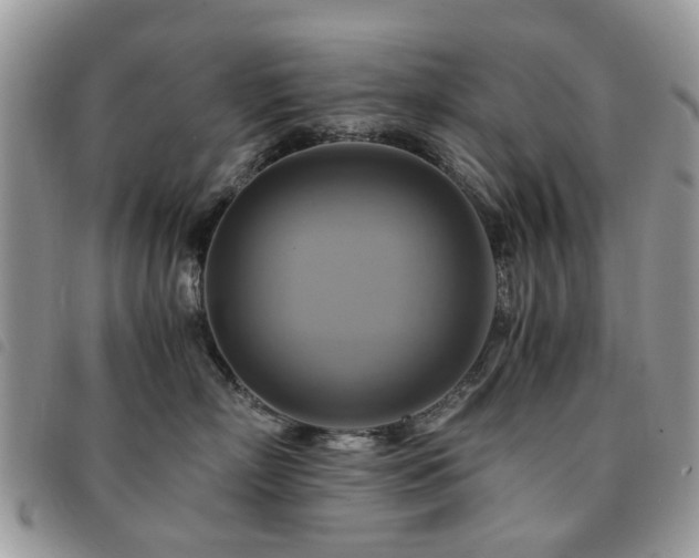 X0000091540718200708171244