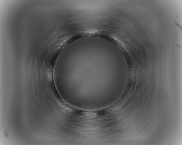 X0000091540719200708171244