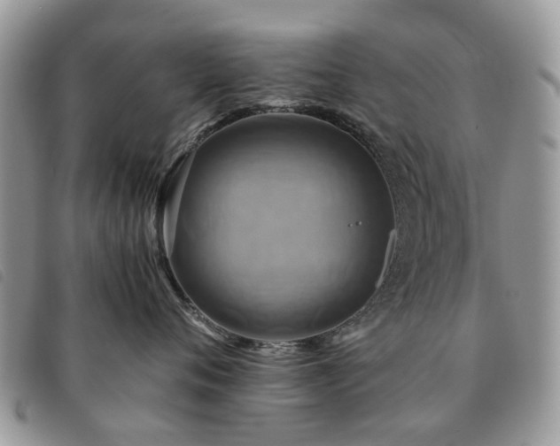 X0000091540720200708171244