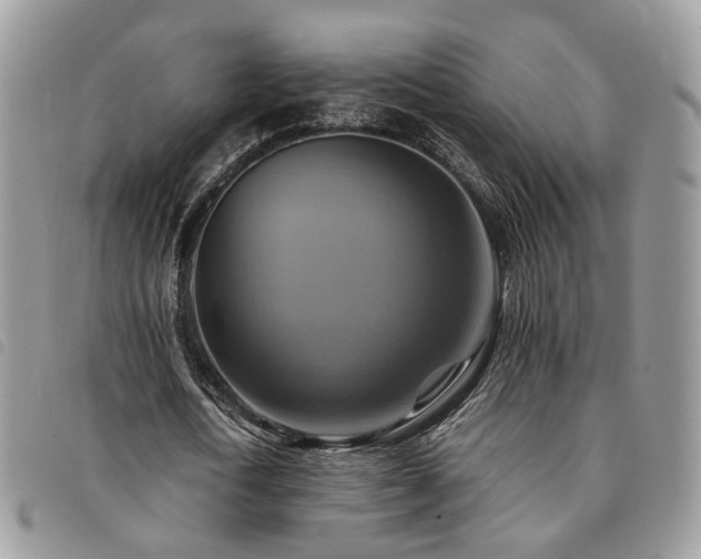 X0000091540722200708171243