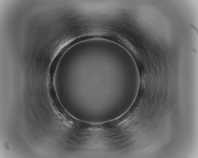 X0000091540724200708171243