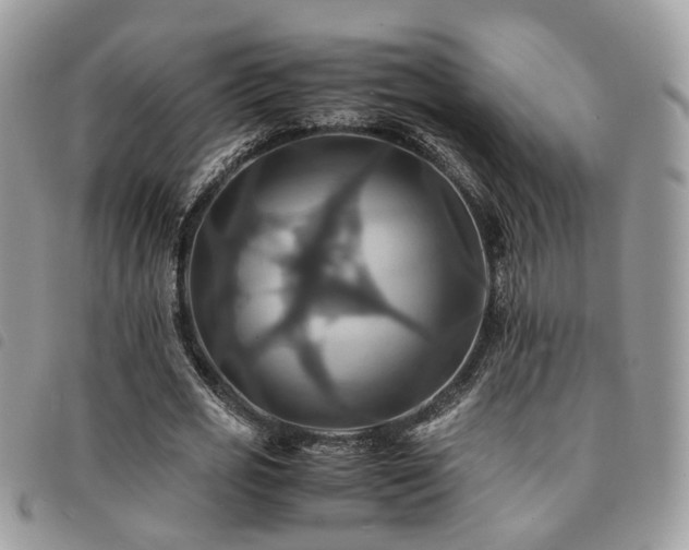 X0000091540725200708171243