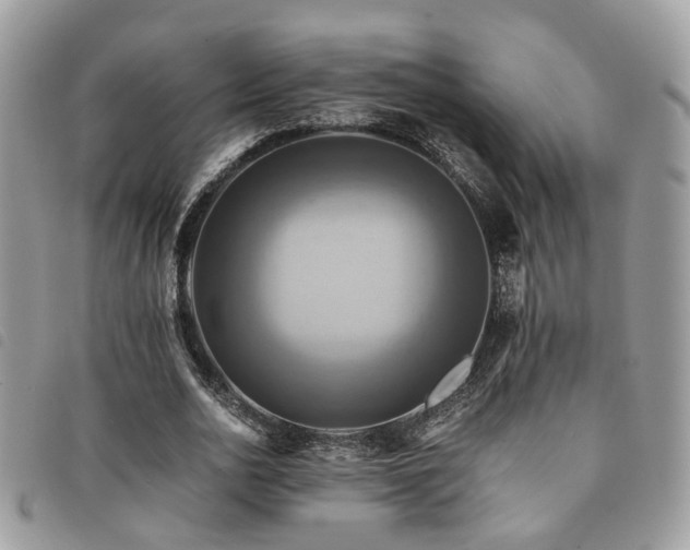 X0000091540726200708171243
