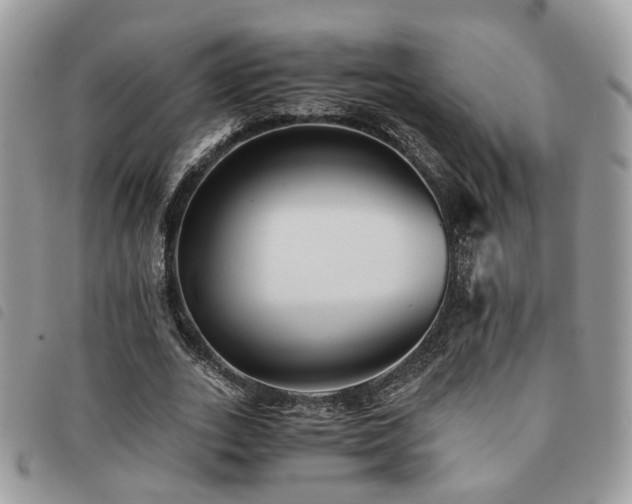X0000091540727200708171243