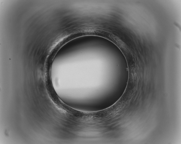X0000091540728200708171243