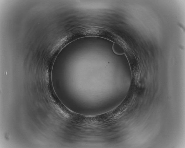 X0000091540729200708171243